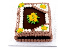Dort kniha 1500g